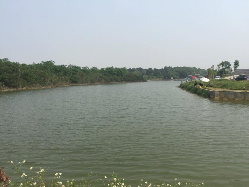 五一劳动节前往广西渔牧生态基地一日游!