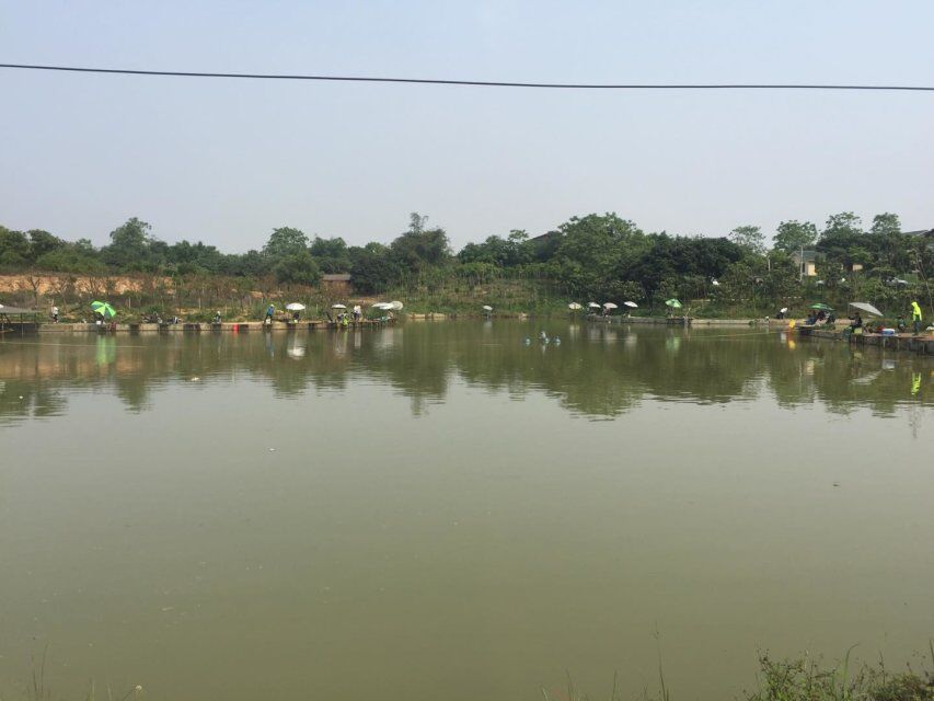 五一劳动节前往广西渔牧生态基地一日游!